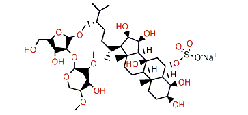 Planciside C